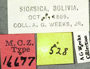 Media type: image;   Entomology 16677 Aspect: labels